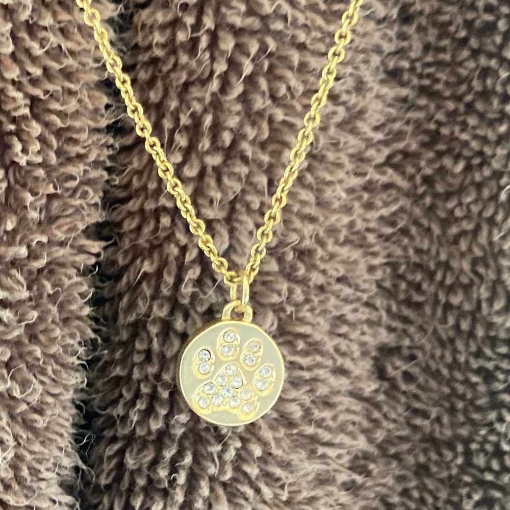 Never worn gold necklace with crystal dog paw 🐾